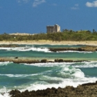PASQUETTA A TORRE GUACETO