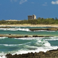 PASQUETTA A TORRE GUACETO
