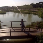 Nuovo impianto di illuminazione  del Parco del Cillarese