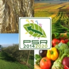  NUOVO PIANO PER LO SVILUPPO RURALE DEL TERRITORIO