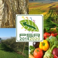 NUOVO PIANO PER LO SVILUPPO RURALE DEL TERRITORIO