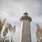 UN LABORATORIO DEL MARE NEL FARO DI TORRE CANNE
