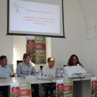 Emergenza Xylella : inaugurato  Presidio Informativo