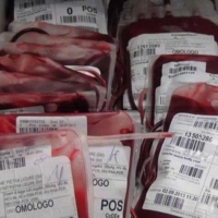 Carenza sangue al Perrino