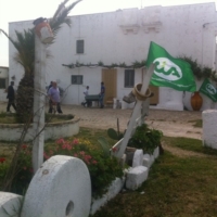 La CIA per la multifunzionalit� 