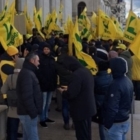 GOVERNO, UNAPROL: "SOS OLIVICOLTURA, IN PIAZZA CONTRO MANOVRA AFFONDA-OLIO"