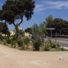 Le associazioni ambientaliste chiedono l'affidamento della tutela del Cillarese