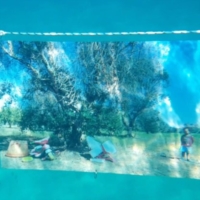 �SAVE THE SEA�, a Castro continua la prima mostra fotografica sospesa in acqua in Italia