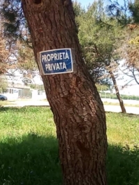 BRINDISI: PINETA VIA CAPPUCCINI : LETTERA AL SINDACO ROSSI