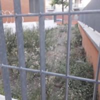 ADOC BRINDISI : INIZIO SCUOLA:MESSAGGIO SINDACO:OLTRE IL DANNO LA BEFFA 