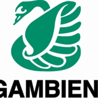 LEGAMBIENTE :friday for future a Brindisi