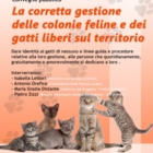 Convegno sulle colonie feline il 18 ottobre