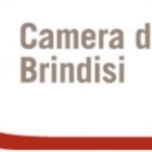 A Brindisi convegno internazionale su turismo medicale