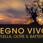 BRINDISI : LEGNOVIVO :proiezione  8 FEBBRAIO ore 18 a Palazzo Nervegna 