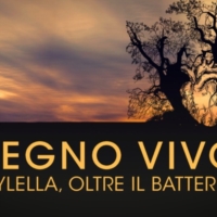 BRINDISI : LEGNOVIVO :proiezione  8 FEBBRAIO ore 18 a Palazzo Nervegna 