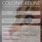 BRINDISI : colonie feline: cosa sono, come si gestiscono, chi se ne occupa