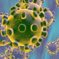 Coronavirus: gli psicologi pugliesi: 