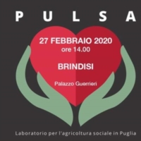 PULSA - Tappa di Brindisi