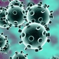 CORONAVIRUS : FUGA DALLA QUARANTENA : ALTRI DUE CASI A TARANTO