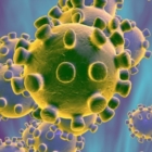 Comune di Brindisi: misure per prevenire la diffusione del Coronavirus