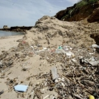 Comunicato Stampa ADOC su controlli P.M. su igiene urbana 