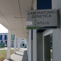 COVID 19 - Apulia Genetics lamenta i clamorosi ritardi