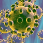 Coronavirus:11 morti ma cala numero contagi Puglia, oggi 53