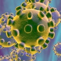 Coronavirus:11 morti ma cala numero contagi Puglia, oggi 53
