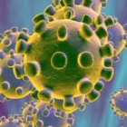 PUGLIA : Coronavirus:8 decessi e 69 nuovi contagi 
