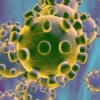 Coronavirus: in Puglia 11 decessi e 108 nuovi contagi