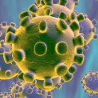 Coronavirus in Puglia: i morti e i contagi del 23 aprile 2020 �