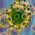 PUGLIA : CORONAVIRUS : 26 casi e 5 decessi
