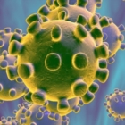 Coronavirus : morti e contagi del 23 giugno 2020 