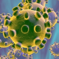 Coronavirus : morti e contagi del 23 giugno 2020 