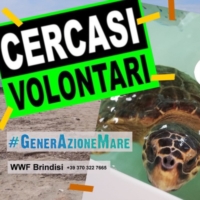 CERCHIAMO VOLONTARI STRAORDINARI