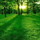 GREEN DEAL: NUOVE PROSPETTIVE 