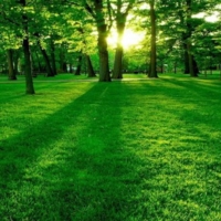 GREEN DEAL: NUOVE PROSPETTIVE 