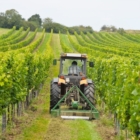 AGRICOLTURA: SUDDIVISI I 5 MILIONI PER LA COMPETITIVITÀ