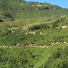 UN BORGO AL MESE, IL CALENDARIO 2021 DEI BORGHI D’ITALIA