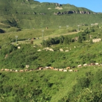 UN BORGO AL MESE, IL CALENDARIO 2021 DEI BORGHI D�ITALIA