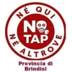 GASDOTTO TAP-SNAM : DISASTRO AMBIENTALE