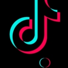Il Garante privacy blocca TikTok