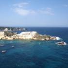 13. Presentato il nuovo sito internet di Arpa Puglia 