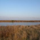 LEGAMBIENTE : PULIAMO IL MONDO