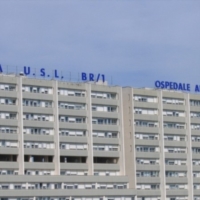 Giornata di protesta dei lavoratori settore giardinaggio ospedale Perrino