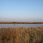 Nuova udienza del processo contro ENEL