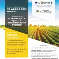 GAL TDM : IL VALOREDELLA QUALIT� NELL�ORTOFRUTTA PUGLIESE