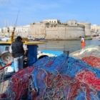 450 MILIONI DI EURO DI BONUS PER BRACCIANTI E PESCATORI 