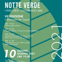 NOTTE VERDE