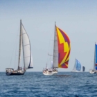BRINDISI : VIABILITA' REGATA